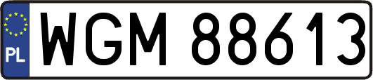 WGM88613