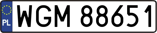 WGM88651