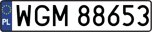 WGM88653
