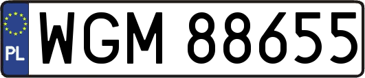 WGM88655