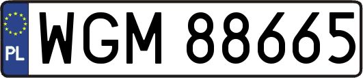 WGM88665