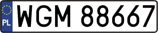 WGM88667