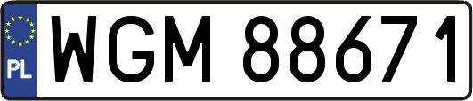 WGM88671