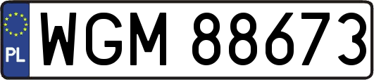 WGM88673