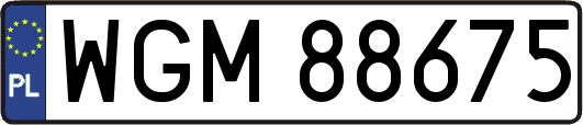WGM88675