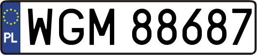 WGM88687