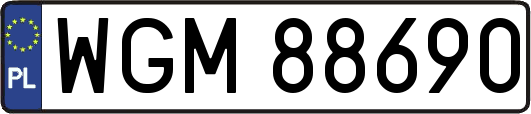 WGM88690