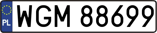 WGM88699