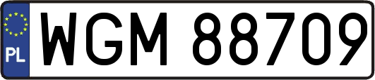WGM88709