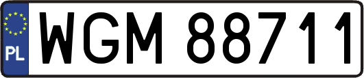 WGM88711