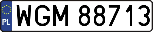 WGM88713