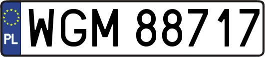 WGM88717