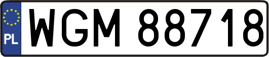 WGM88718