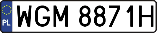 WGM8871H