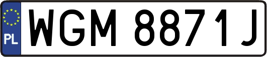 WGM8871J