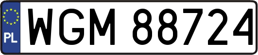 WGM88724