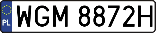 WGM8872H