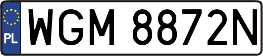 WGM8872N