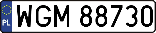 WGM88730