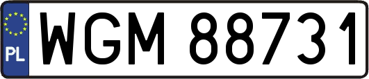 WGM88731