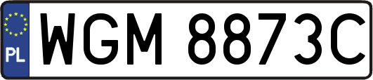 WGM8873C
