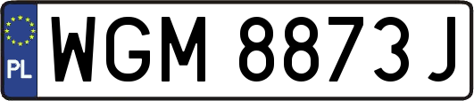 WGM8873J