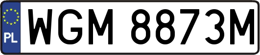 WGM8873M