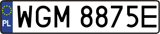 WGM8875E