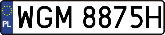 WGM8875H