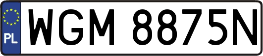 WGM8875N
