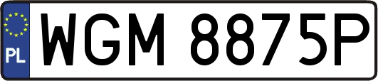 WGM8875P