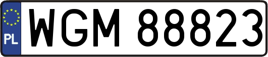 WGM88823