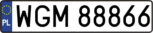 WGM88866