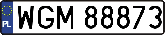 WGM88873