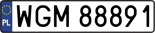 WGM88891