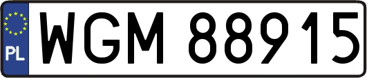 WGM88915
