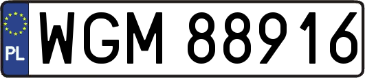 WGM88916