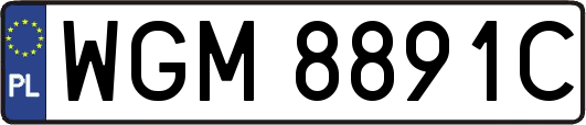 WGM8891C