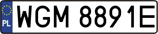 WGM8891E