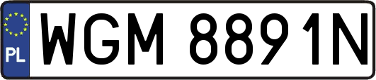 WGM8891N
