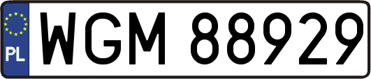 WGM88929
