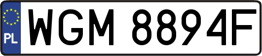 WGM8894F