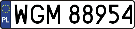 WGM88954
