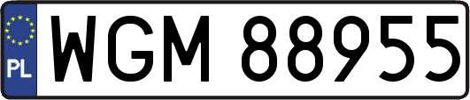WGM88955