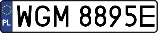 WGM8895E