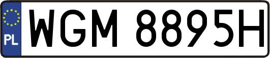 WGM8895H