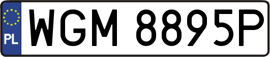 WGM8895P