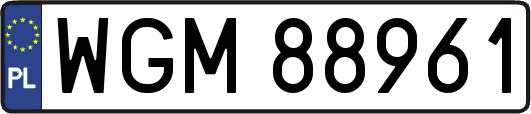 WGM88961