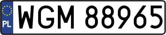 WGM88965