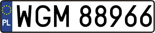 WGM88966